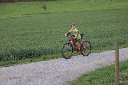 IMG 0314