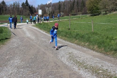 IMG 0350