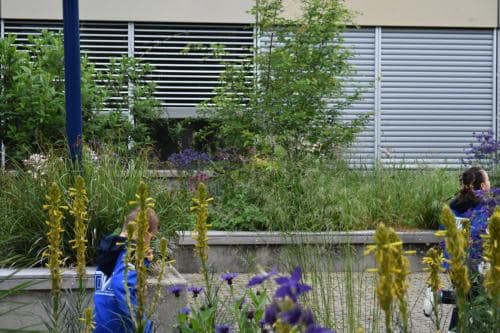 ???????????????????????????????????????????